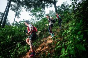 BIB: 
                            <button type="button" onclick="openModal(26202218)" class="btn btn-primary btn-sm float-right btn-popup" data-toggle="modal" data-target=".modal-high-quality">
                        <i class="fas fa-shopping-cart"></i> Add to Cart
                    </button>
                                            <button type="button" onclick="isThisMe(26202218, true)" class="btn btn-success btn-sm float-right btn-popup btn-isme hidden" data-toggle="tooltip" data-placement="bottom" title="นี่คือรูปของคุณใช่ไหม คลิกที่นี่เพื่อเอาเข้าอัลบั้ม">
                        <i class="fas fa-plus"></i> Add to album
                    </button>
                    <button type="button" onclick="isThisMe(26202218, false)" class="btn btn-warning btn-sm float-right btn-popup btn-isnotme hidden">
                        <i class="fas fa-ban"></i> Remove from album
                    </button>